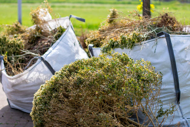 Best Furniture Removal Near Me  in Sauk Centre, MN